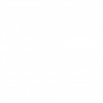 icone rhinoshield